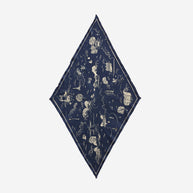 PARISIAN MAP SCARF